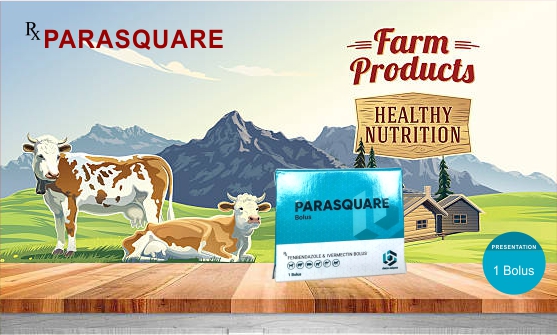 Pet Food