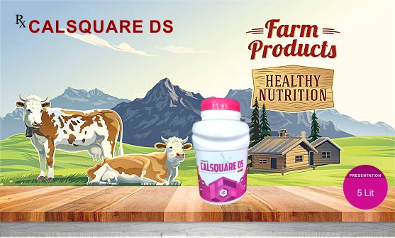 Pet Food
