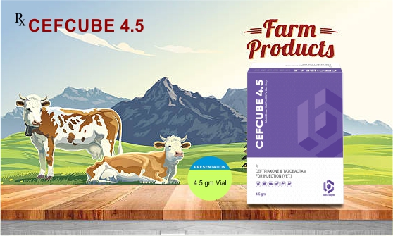 Pet Food