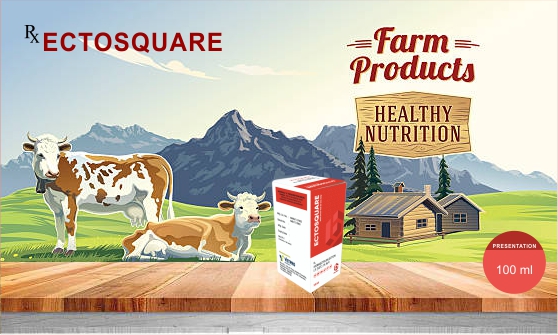 Pet Supplies