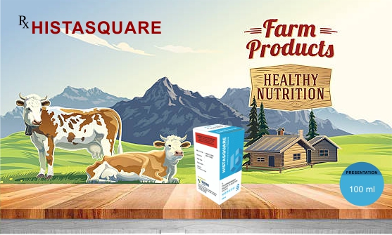 Pet Food