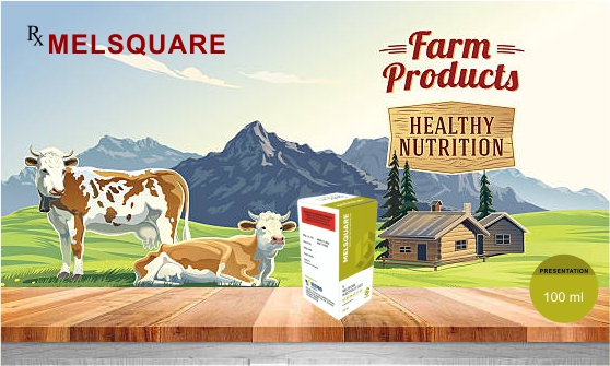 Pet Food